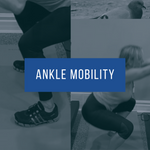 Ankle Mobility Program